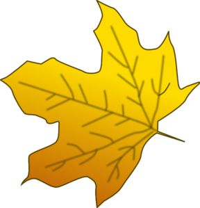 288x299 32 Best Fall Images Autumn Leaf Color, Colouring