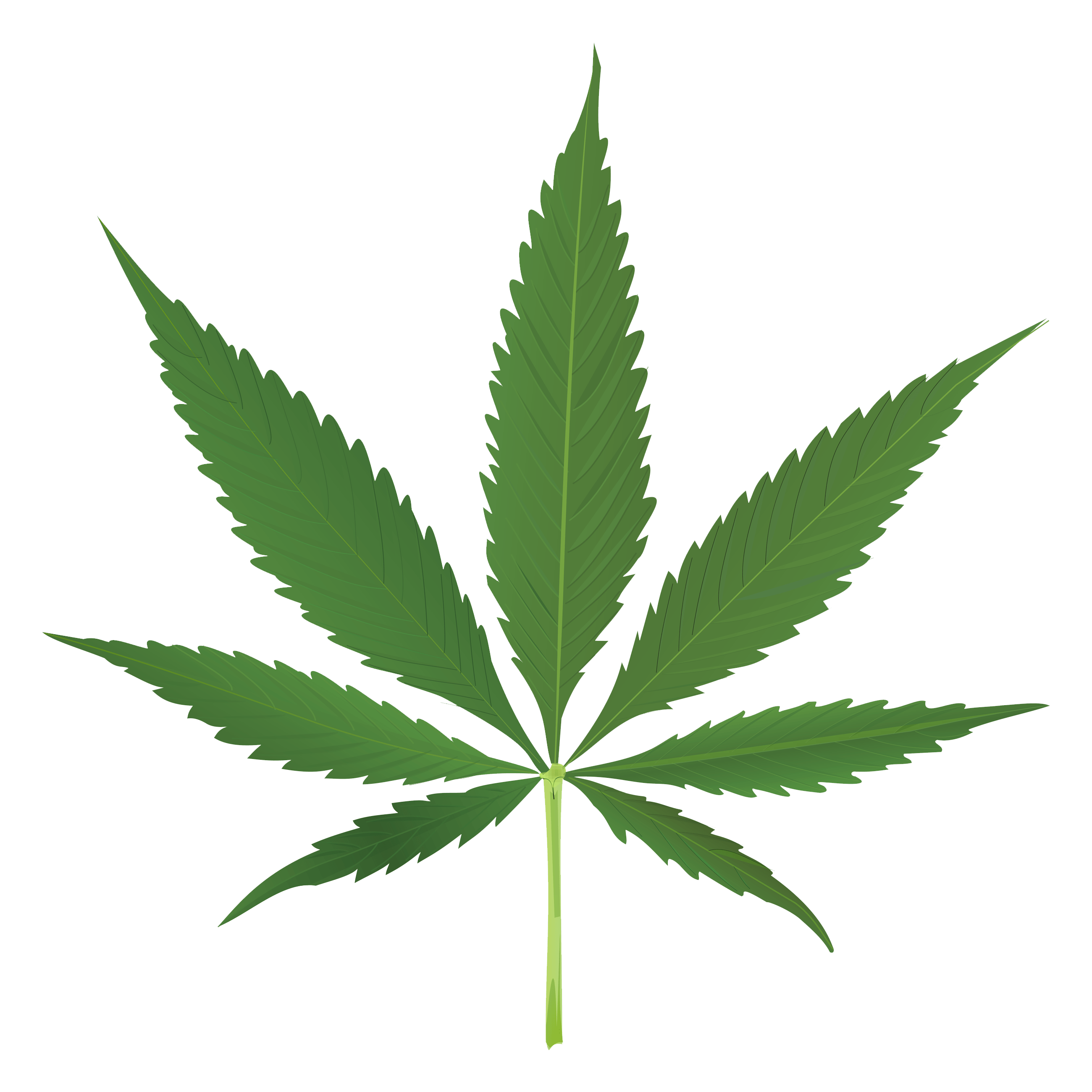 2600x2600 Pot Leaf Clipart No Background