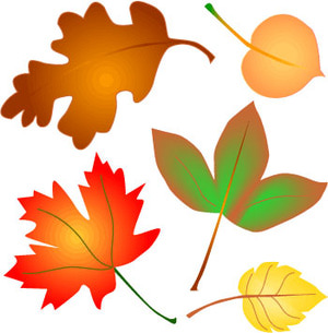 300x305 Fall Leaves Images For Fall Leaf Clipart Image 2