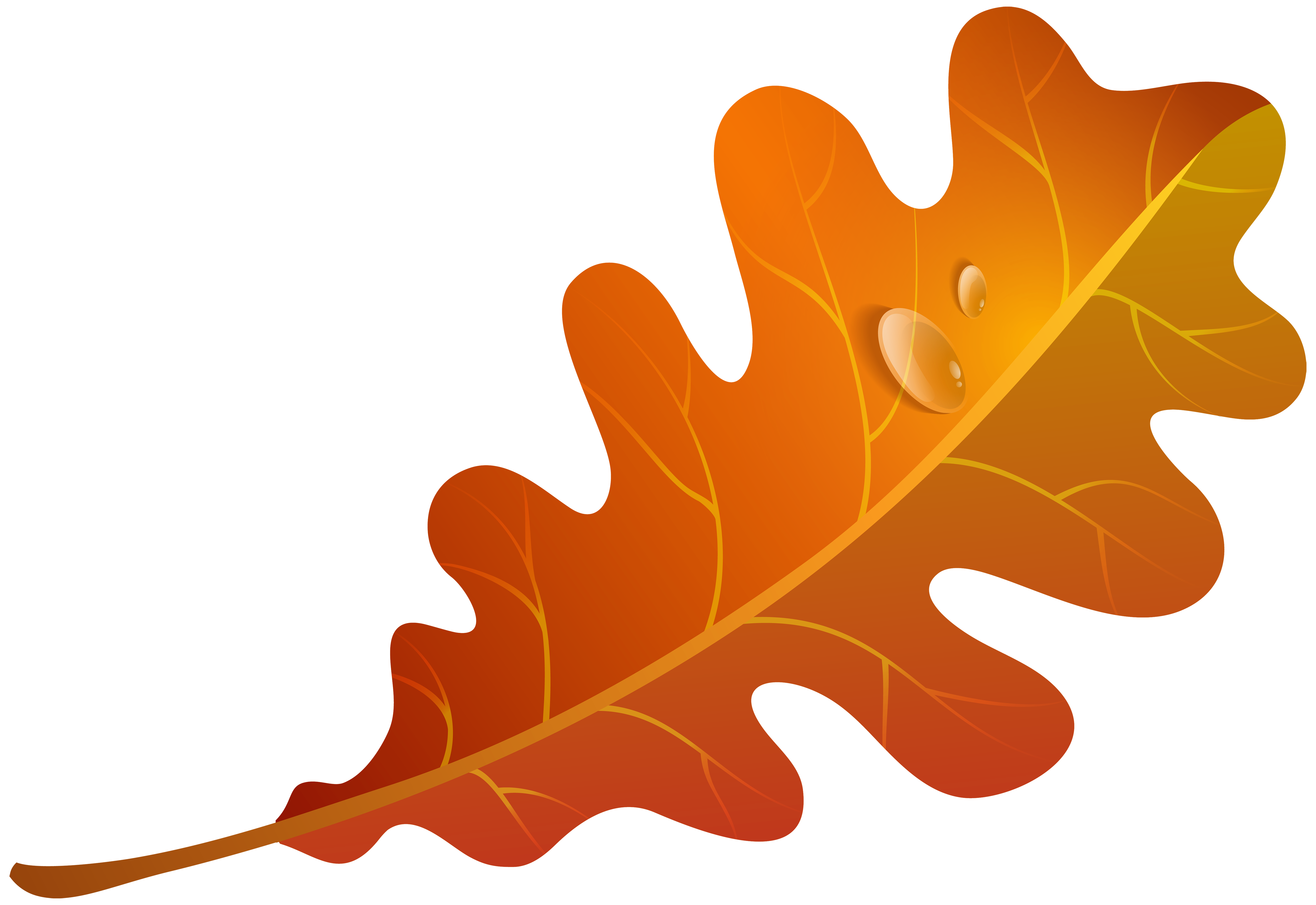 5000x3439 Foliage Clipart Orange Leaf