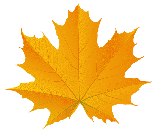 500x445 How To Draw A Fall Leaf Using Adobe Illustrator