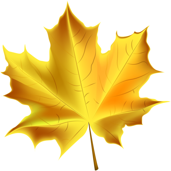 599x600 Leaves Clipart Yellow Leaf