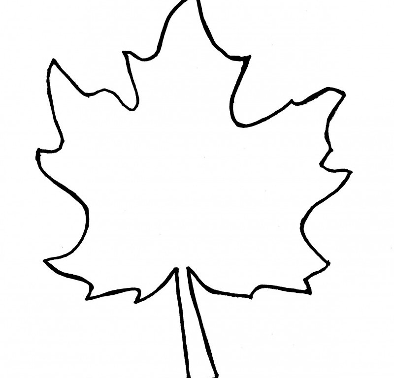 800x768 Printable Leaf Art Crafthubs