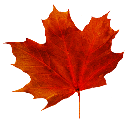 413x383 Fall Leaves Clip Art Beautiful Autumn Clipart 3
