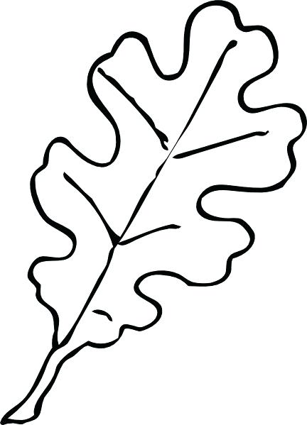 432x599 Fall Leaf Outlines