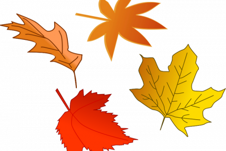 450x300 Fall Leaves Clip Art Transparent Background