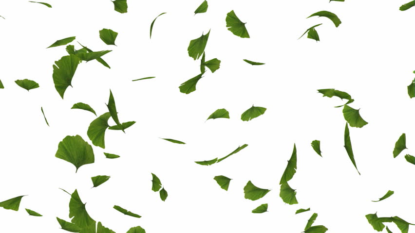 852x480 Falling Autumn Leaves Backgrounds