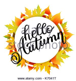 300x320 Autumn Seasonal Sale Web Banner Offer. 3d Detailed Mockup White