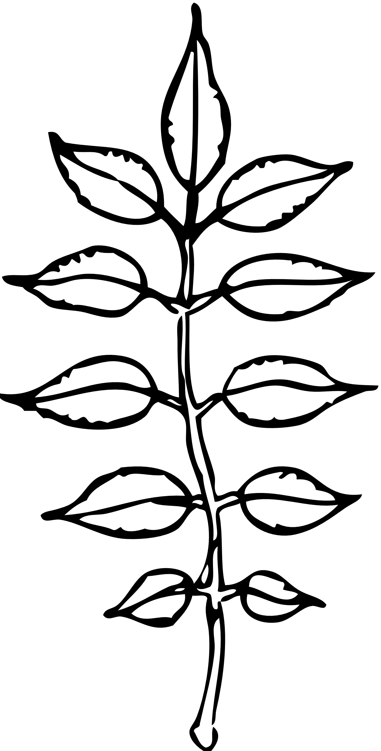 1331x2620 Leaves Clipart Black And White Png