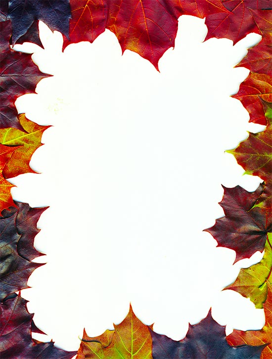 550x725 Free Thanksgiving Borders