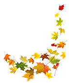 142x170 Stock Illustration Of Autumn Fall Leaves Border Frame K1237437
