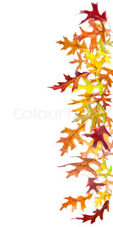 160x320 Autumn Leaves Falling To The Ground Isolated On White Stock