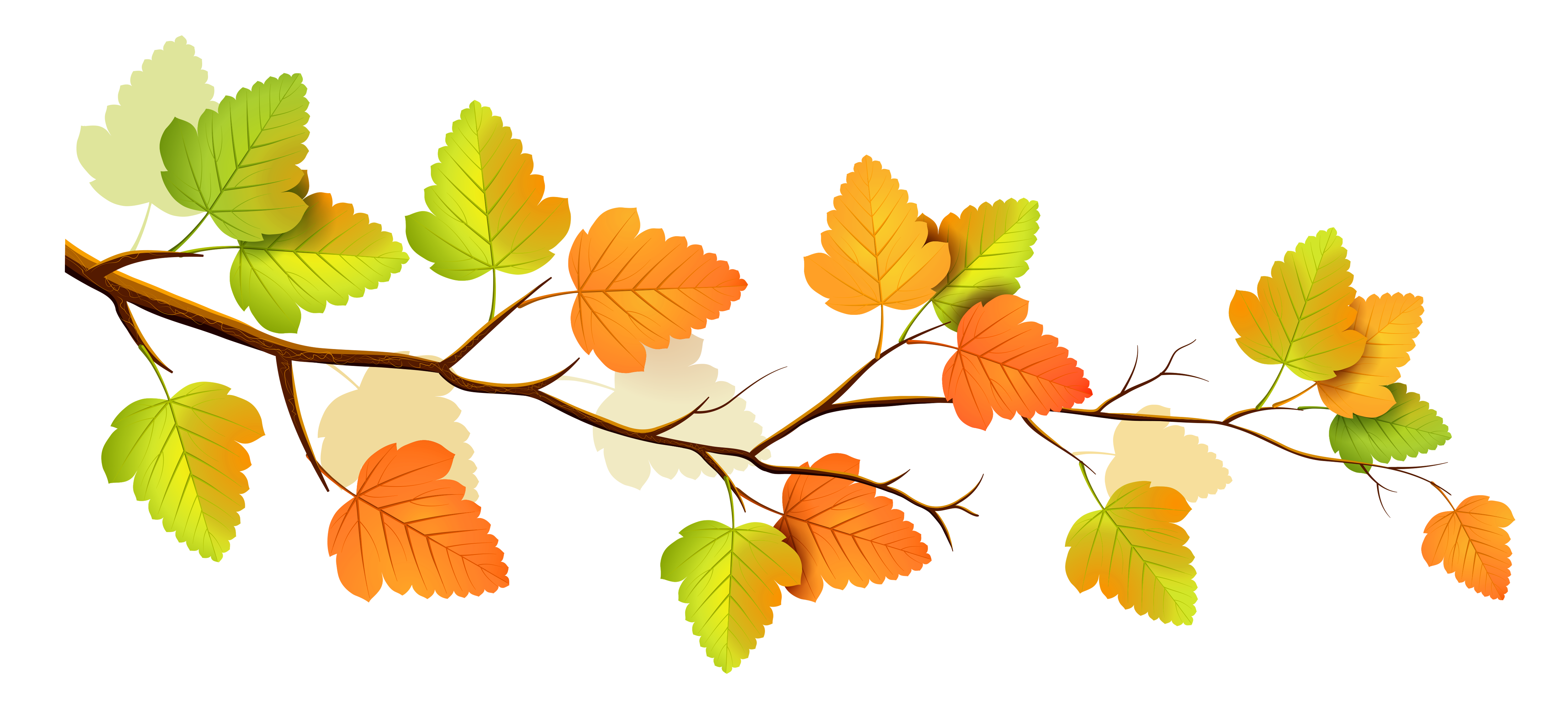 5000x2261 Fall Branch Decor Png Clipartu200b Gallery Yopriceville