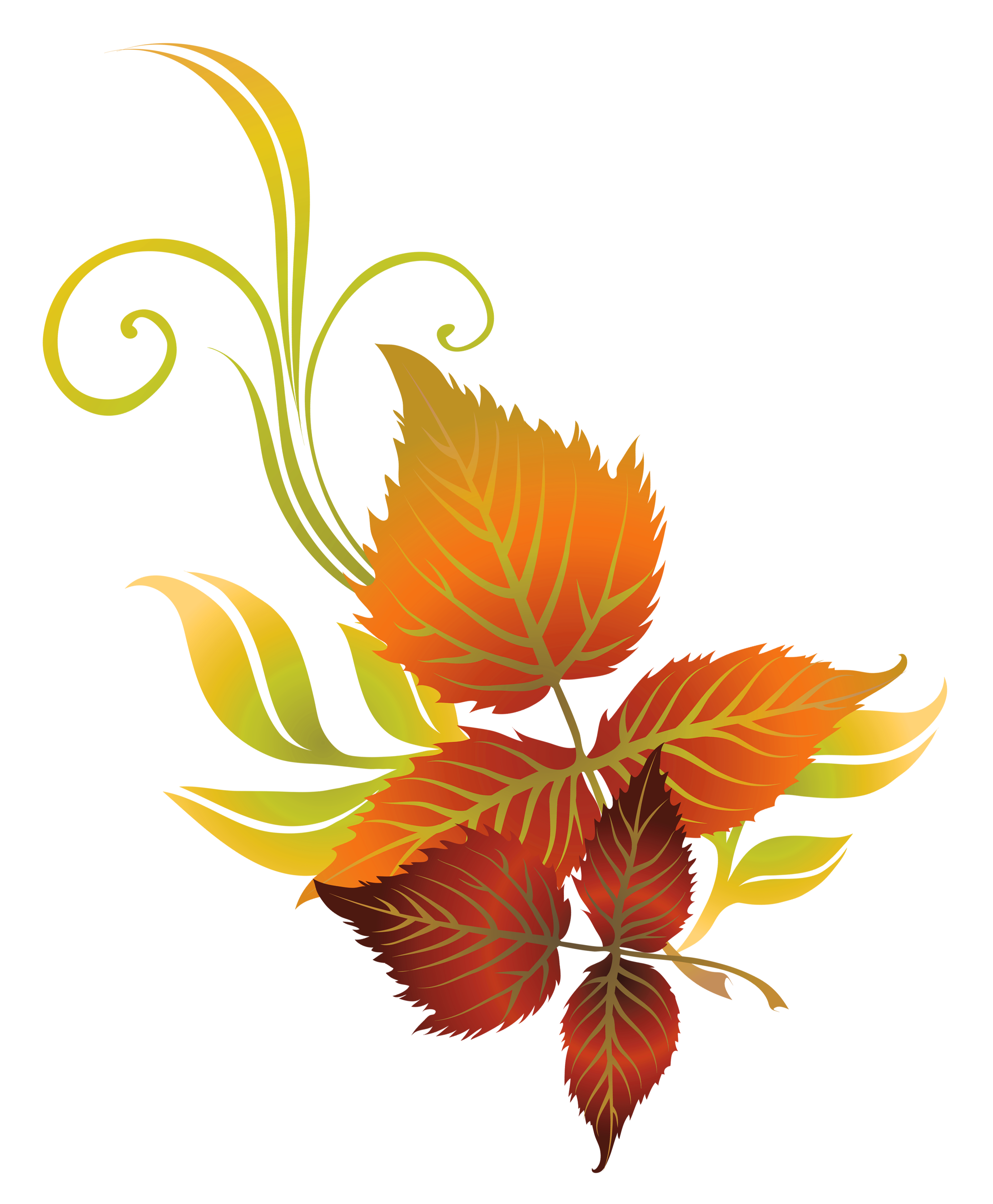 2779x3370 Fall Leaves Deco Clipart Picture Fonts
