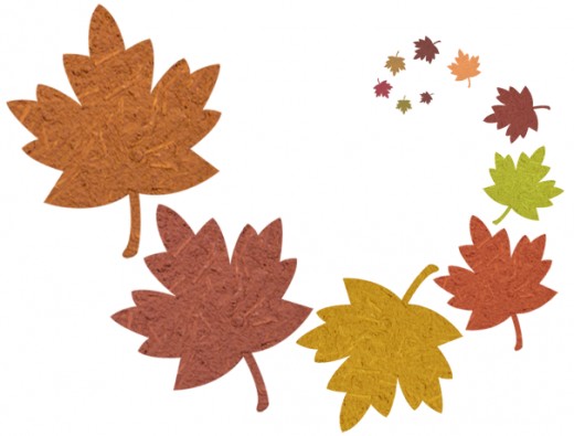 520x395 Fall Leaves Fall Leaf Clipart Outline Free Clipart Images