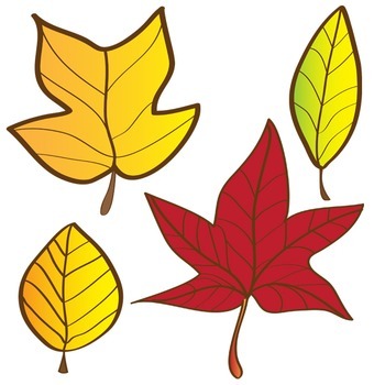 350x350 Leaves Clipart Set