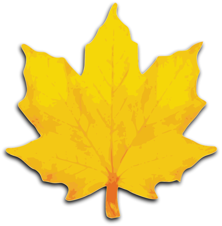 884x900 Fall Leaves Clipart Free Clipart Images