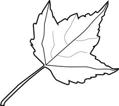 235x209 Leaf Outline 2 Clip Art