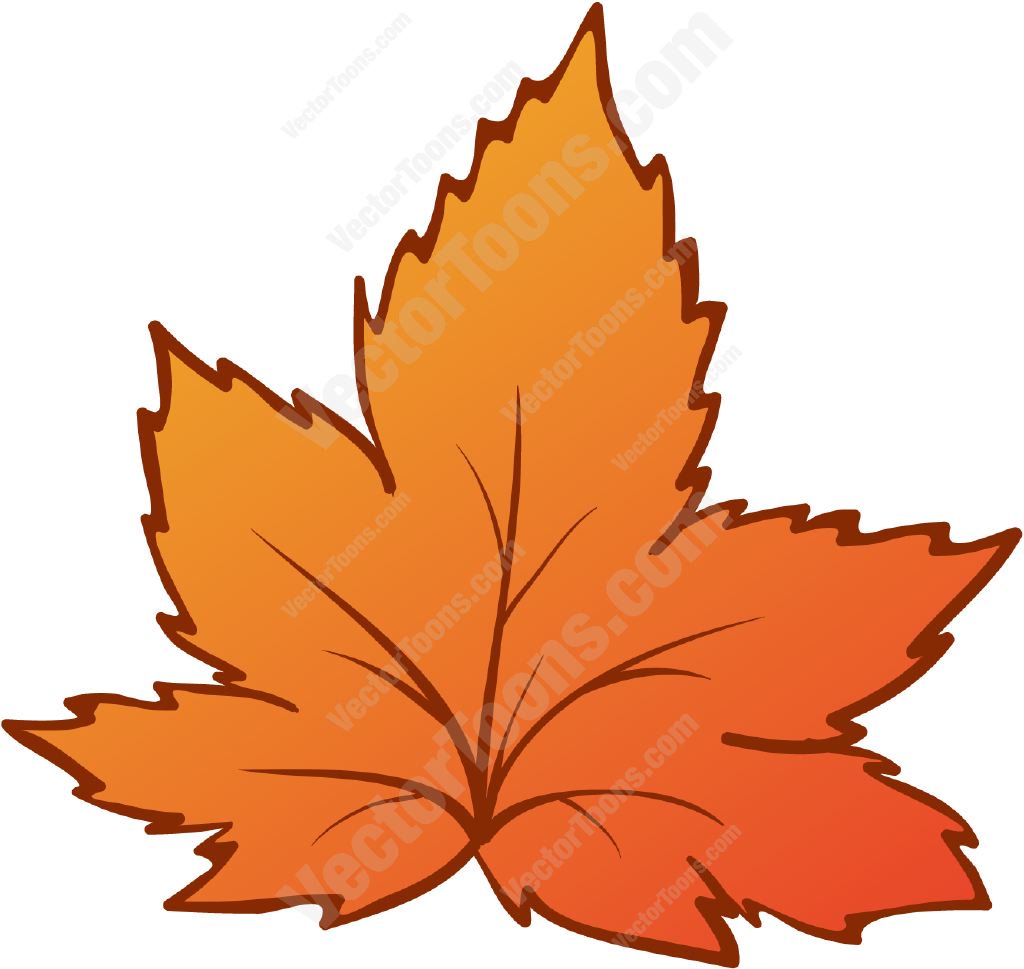 1024x969 Orange Autumn Leaf Cartoon Clipart