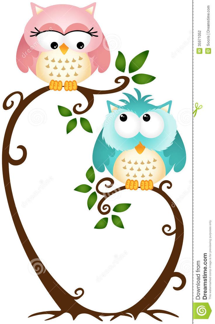 736x1108 101 Best Owls Images Draw, Applique And Beautiful