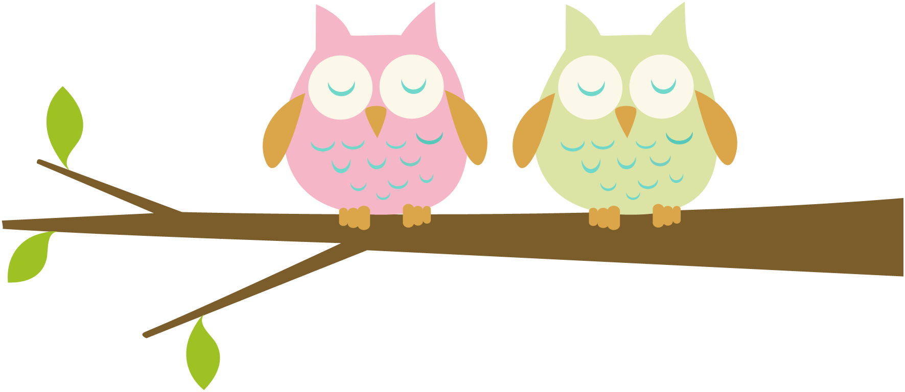 1771x768 Owl Clipart Branch Clip Art