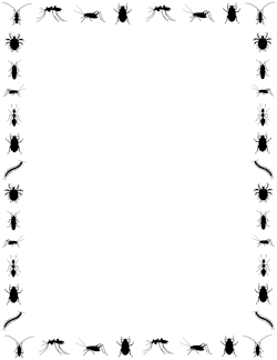 250x324 Ant Border Clip Art, Page Border, And Vector Graphics