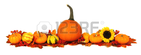 450x176 Long Autumn Border With Pumpkins, Leaves And Flowers Over A White