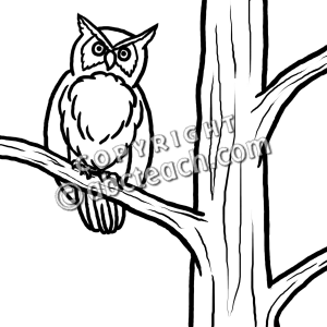 300x300 Fall Owl Black And White Clipart