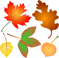 200x198 Clipart Autumn Leaves