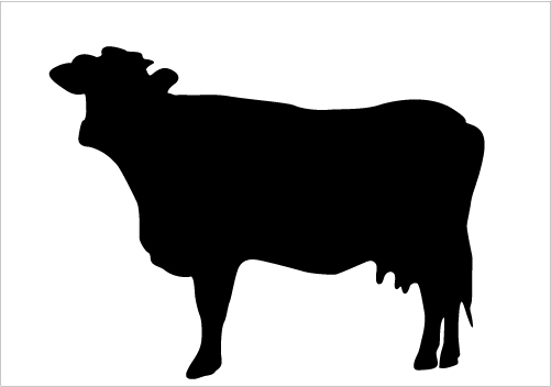 501x352 Cow Silhouette Clip Art