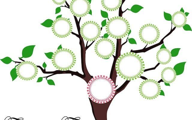 640x400 Best Family Tree Software For Mac