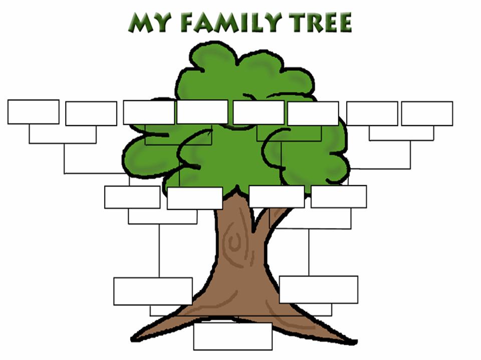960x720 Czeshop Images Family Tree Background Graphics