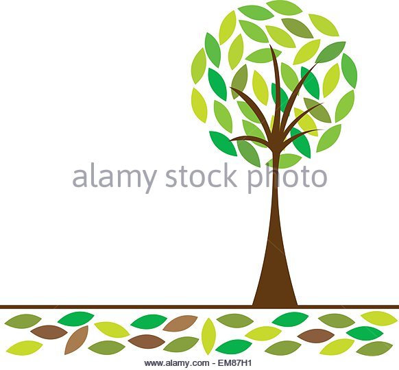 582x540 Family Tree Picture Vector Background Stock Photos Amp Family Tree