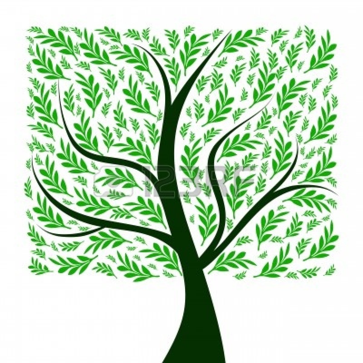 1200x1200 Background Clipart Tree