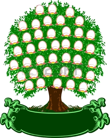 358x450 Family Tree Images Amp Stock Pictures. Royalty Free Family Tree
