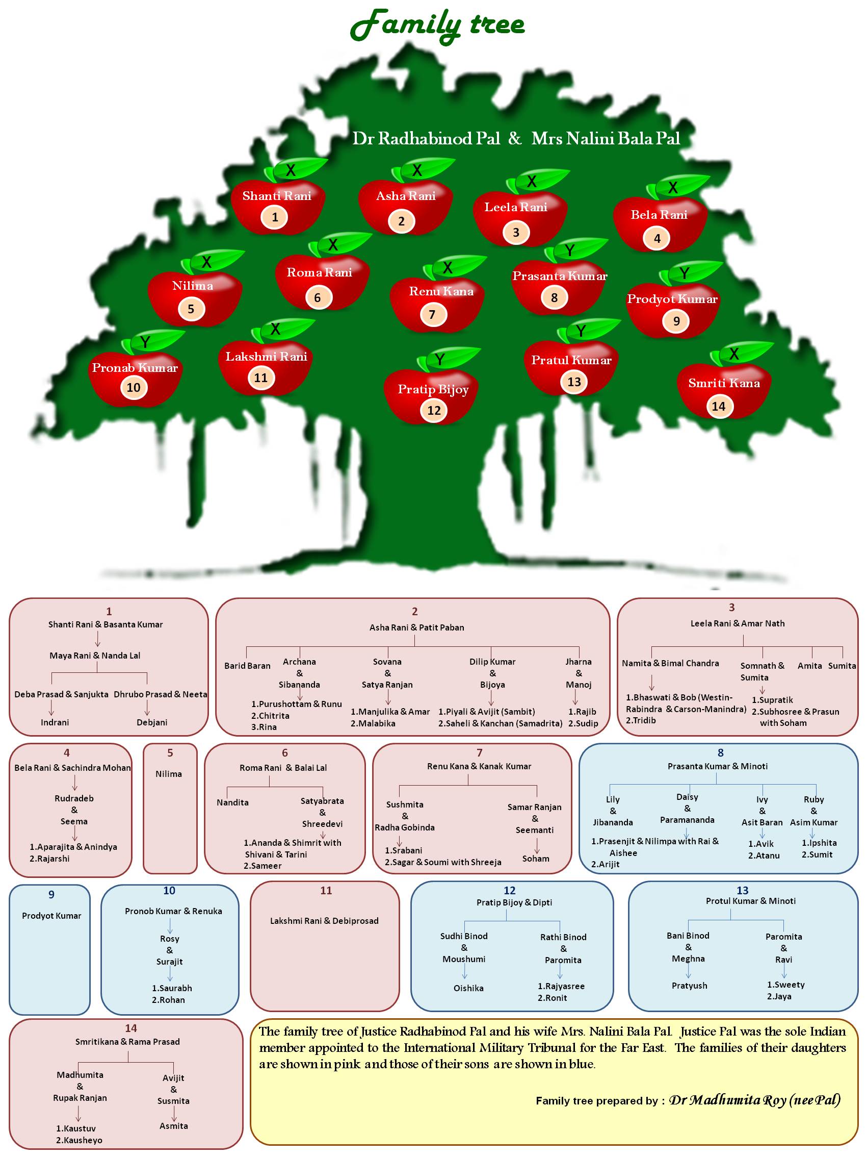 1701x2268 Grand Daughter Family Tree Clipart, Explore Pictures