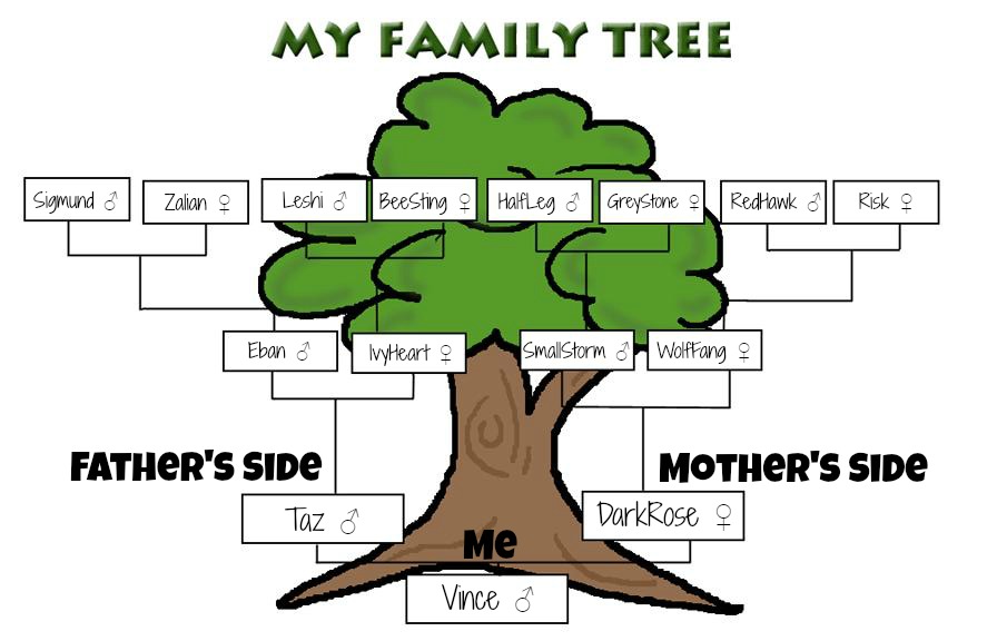 Family Tree Images | Free download on ClipArtMag