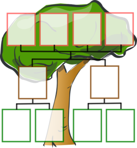 276x298 Family Tree