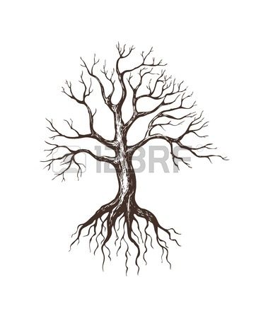 362x450 Best Tree With Roots Drawing Ideas Nature