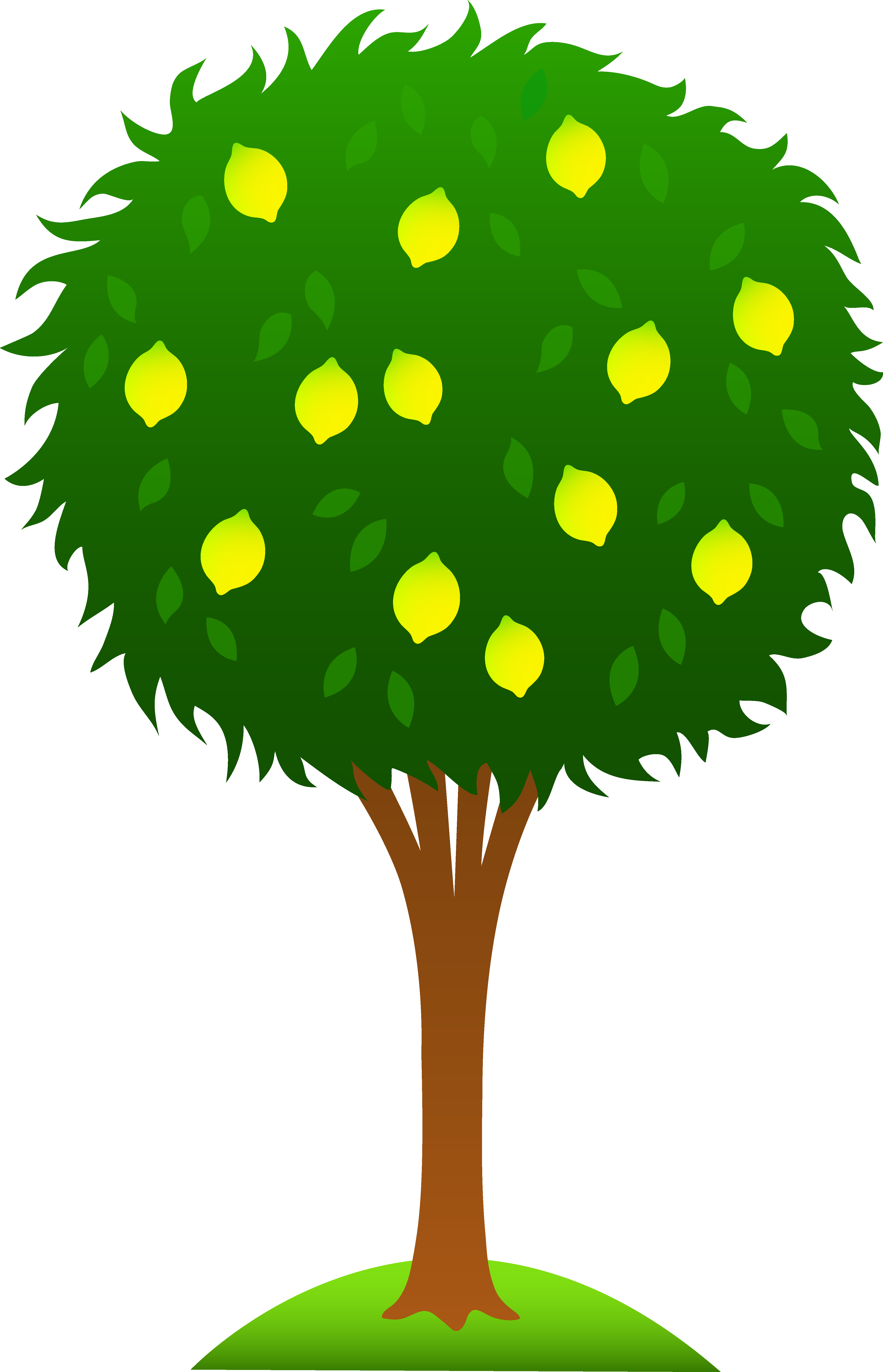 4325x6720 Cartoon Tree Clipart