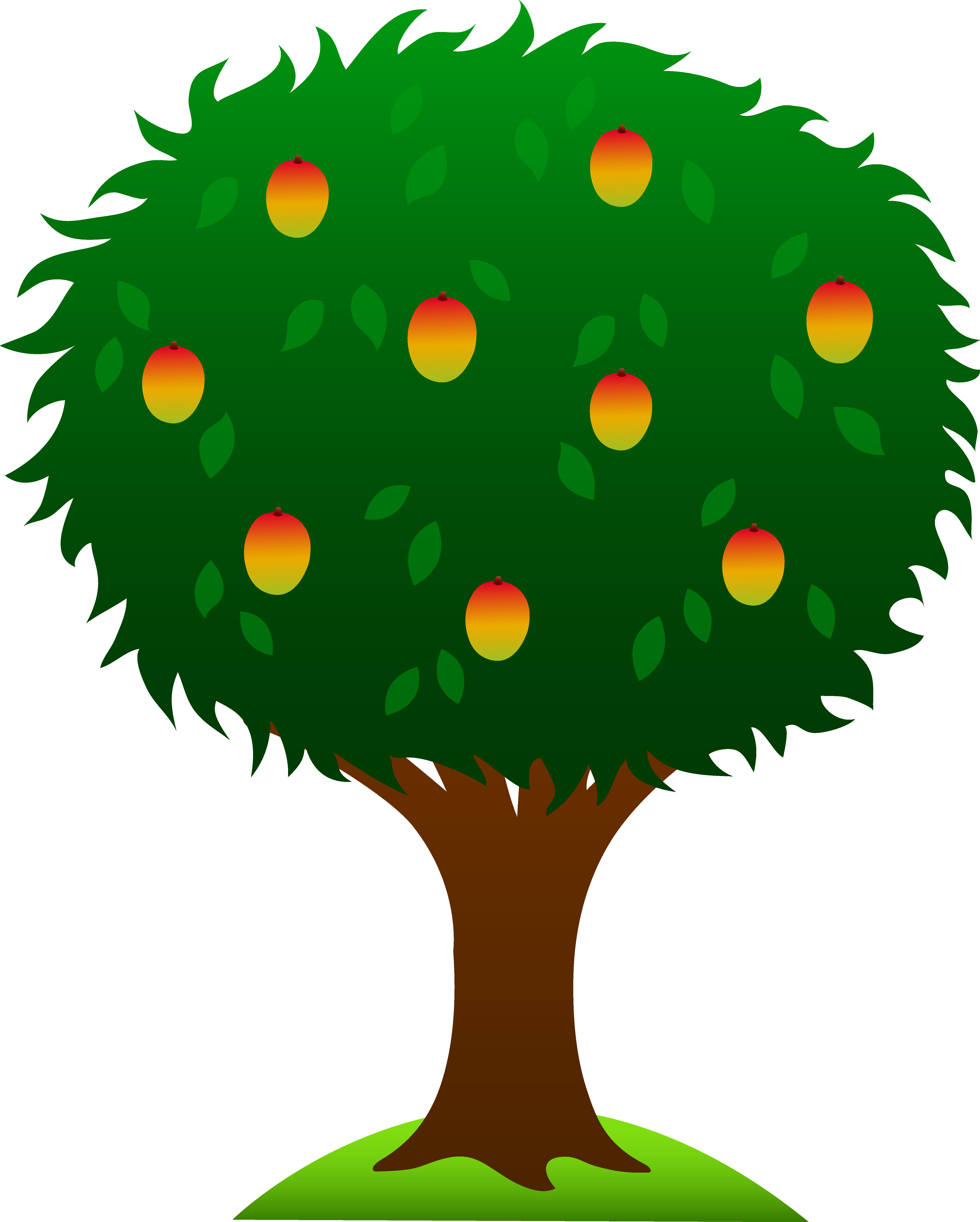5178x6456 Mango Tree With Roots Clipart