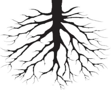 386x311 Drawn Roots Tree Png