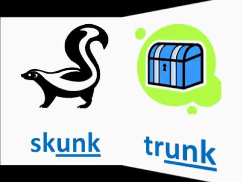 480x360 Word Family Unk Book