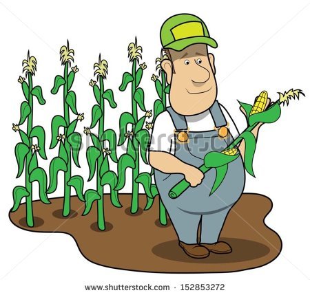 450x429 Corn Clipart Corn Farm