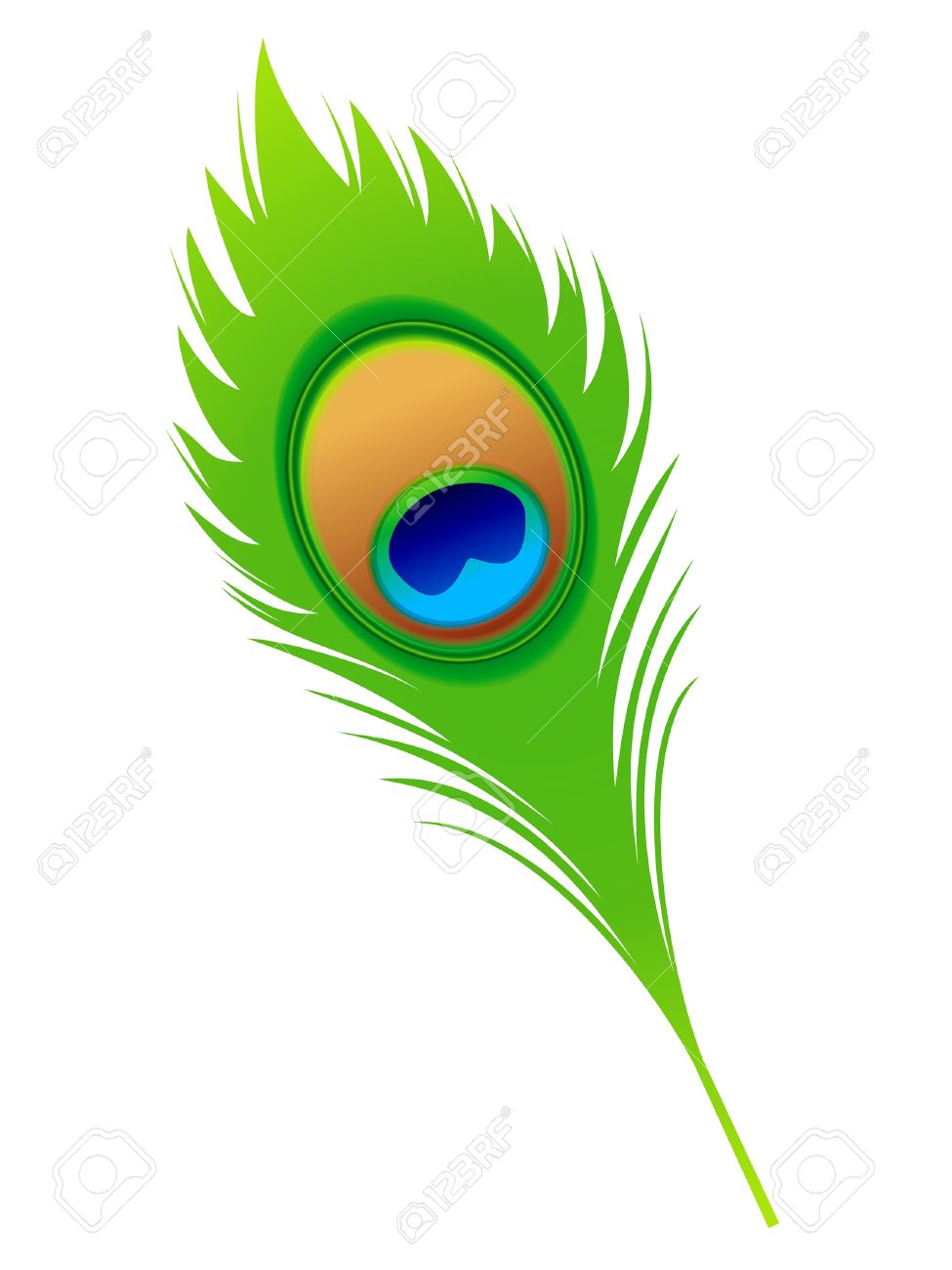 975x1300 Feather Clipart Vector