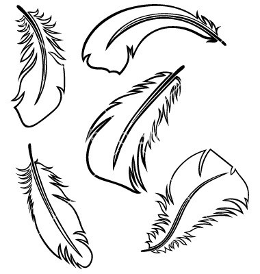 Feather Outline Clipart | Free download on ClipArtMag