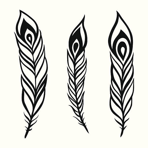 612x612 Feather Clipart Simple Feather