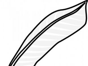 310x233 Book Vector And Feather Ink Pen Clip Art (Free) Free Vectors