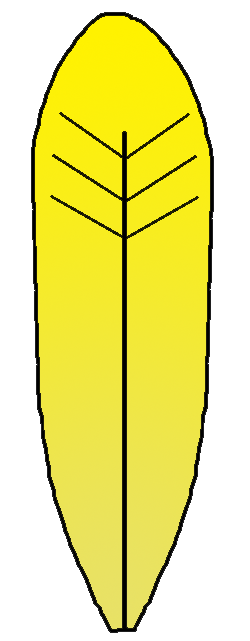 250x641 Cartoon Turkey Feathers Clip Art Library