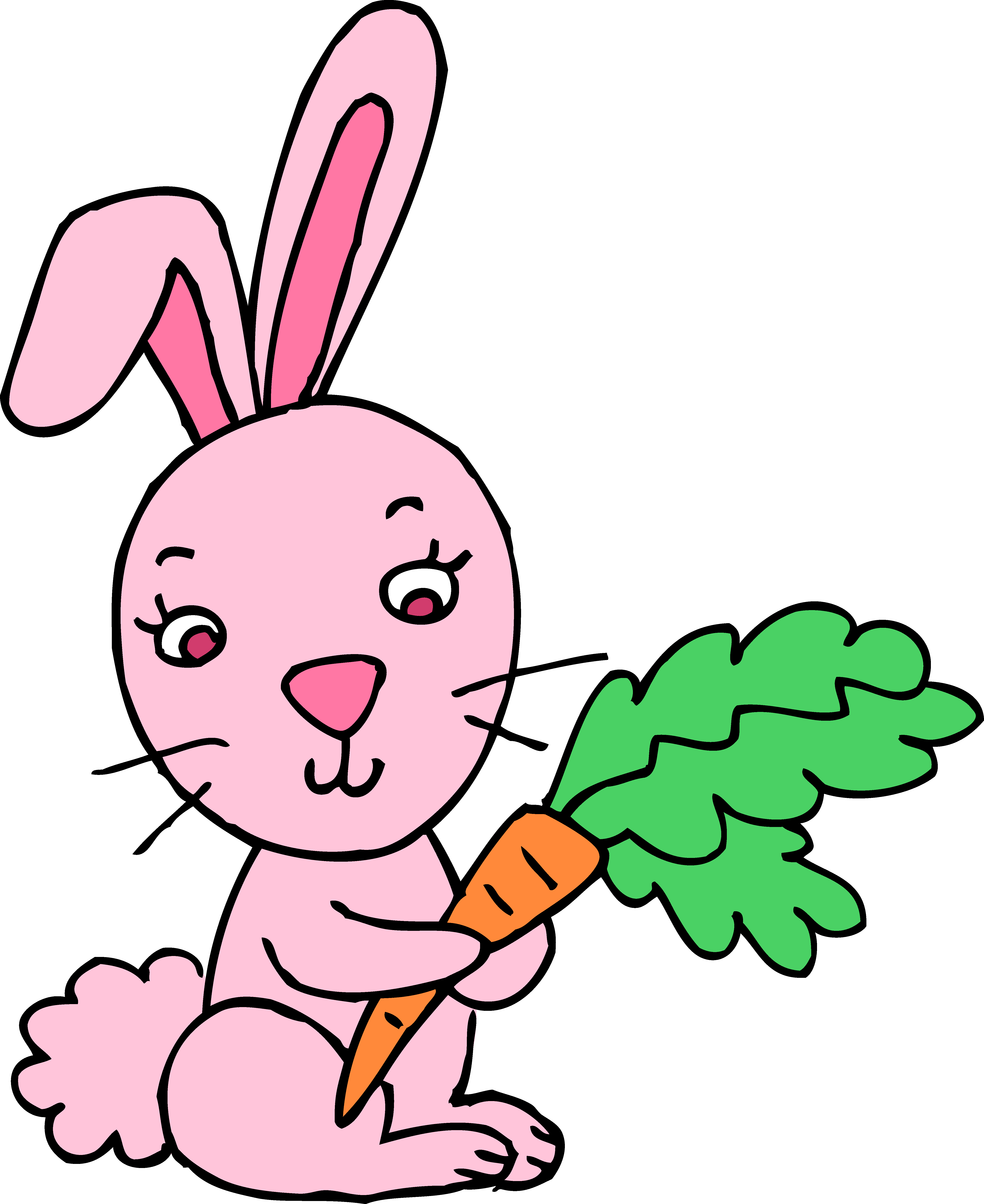 5280x6457 Feeding Bunny Cliparts 208570